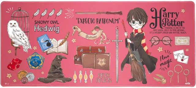 Grupo Erik Harry Potter musmatta