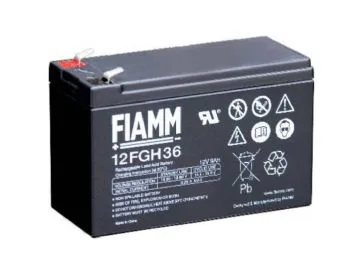 FIAMM 12FGH36