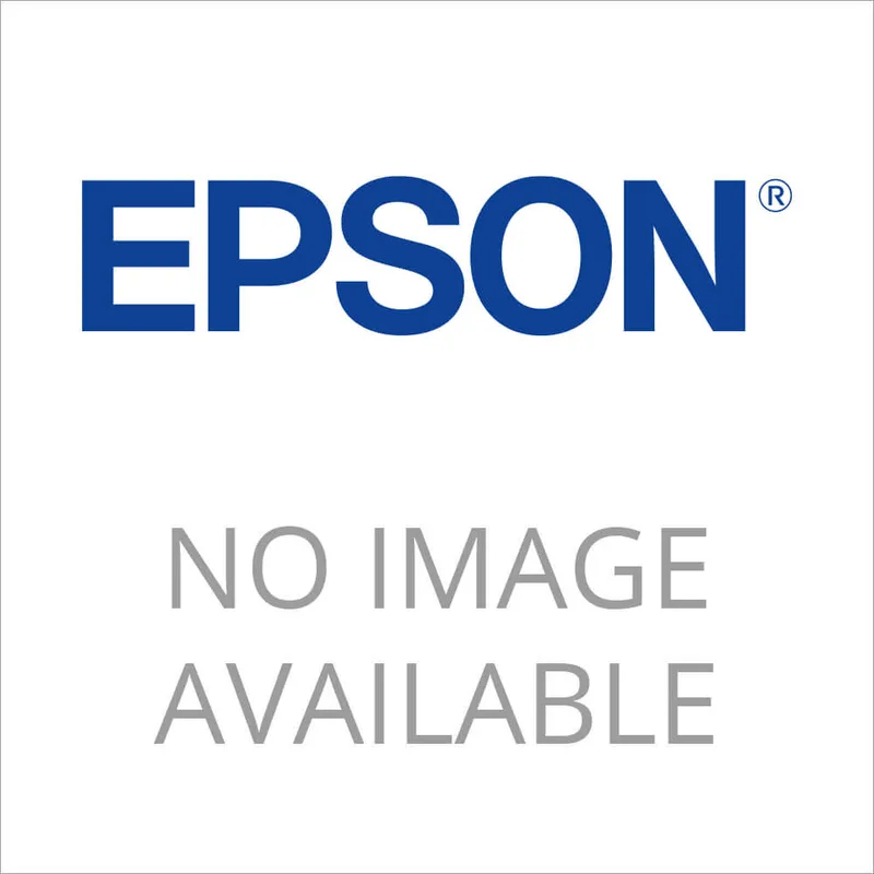 Epson Large Format Printer