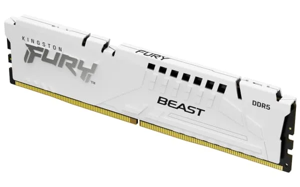 Kingston FURY Beast