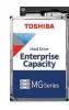 Toshiba MG10F Enterprise Capacity