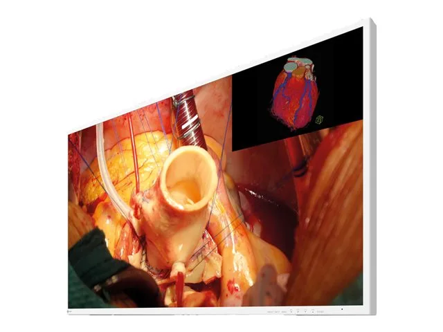 EIZO CuratOR EX4342 - LED-skärm