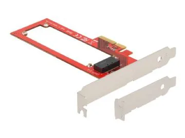 Delock EDSFF E1.S PCIe 4.0 x4 Lagringskontroller