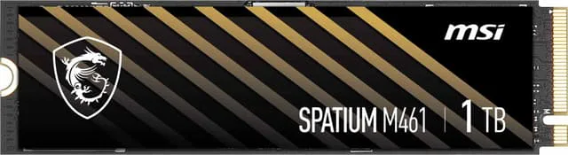 MSI Spatium M461 M.2 intern SSD (1TB)