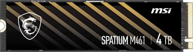 MSI Spatium M461 M.2 intern SSD (4TB)