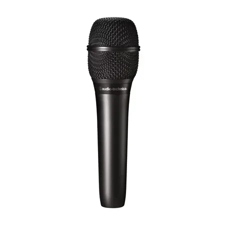 Audio-Technica AT2010