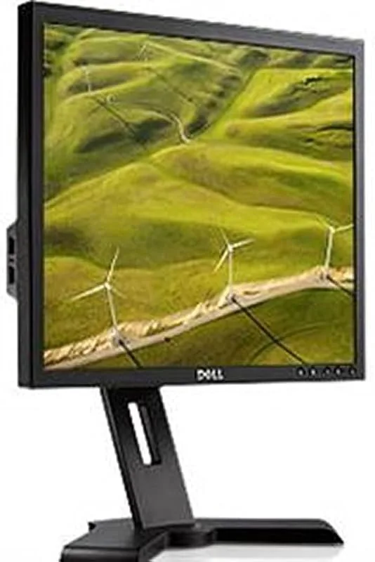 DELL P190S