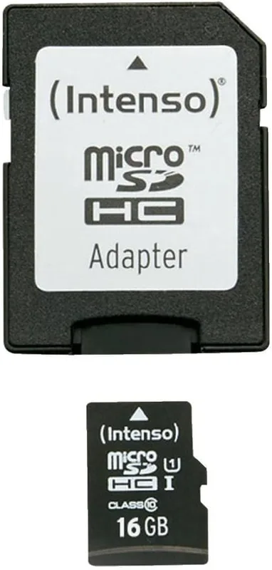 Intenso Micro SDHC Class