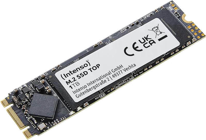 SP 1 TB SSD 3D NAND A55 SLC Cache
