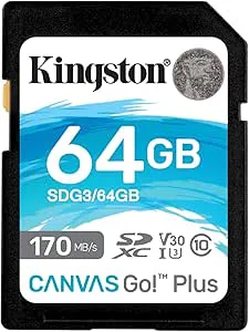 Kingston Canvas Go! Plus SD-kort 64 GB SDXC