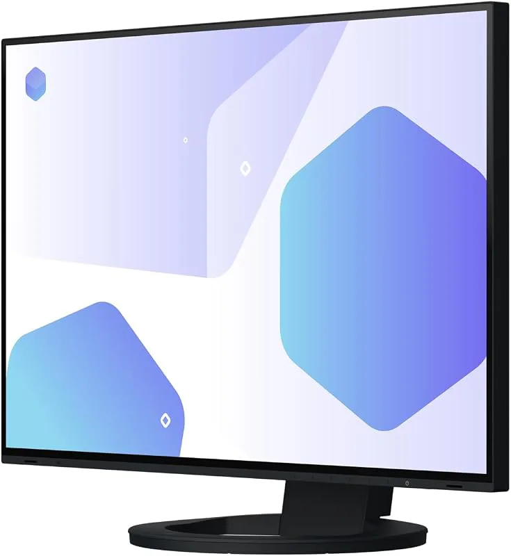 EIZO FlexScan EV2495-BK 61,1 cm (24,1 tum) bildskärm (HDMI, USB 3.1 Hub, USB 3.1 typ C, RJ-45 LAN, DisplayPort, 5 ms sva