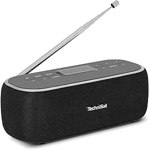 TechniSat VIOLA BT 1