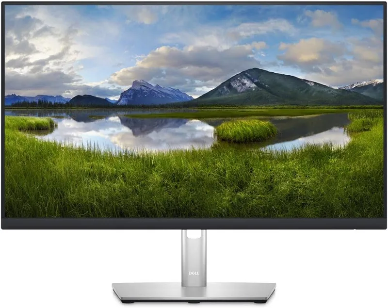 Dell P2423D skärm