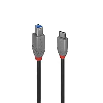 LINDY 2 m USB 3.1-kabel, USB-C hane till USB B 3.0 hane