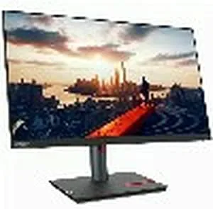 Lenovo ThinkVision P24h-30 skaerm