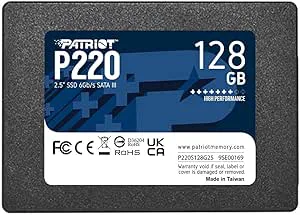 Patriot P220 128GB Intern SSD