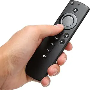 L5B83H TV-fjärrkontroll