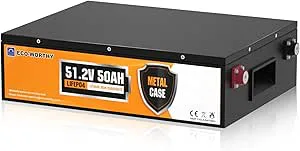 Eco-Worthy LiFePO4 48 V-batteri