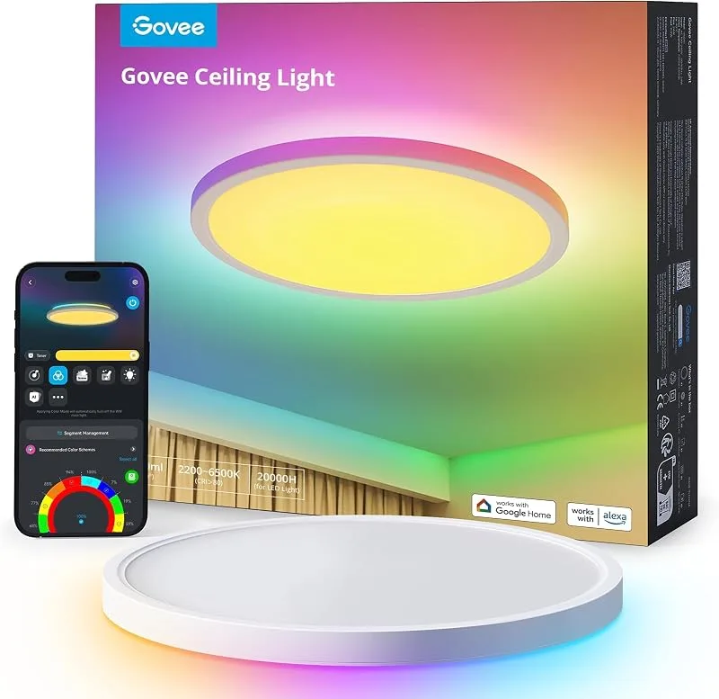 Govee RGBIC LED-taklampa