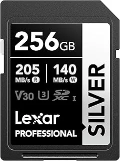 Lexar 256GB SD-kort SILVER