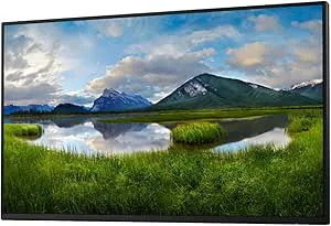 Dell 24 Monitor P2425H 23.8inch