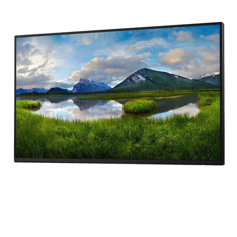 Dell P2425H 24-tums bildskärm, FHD