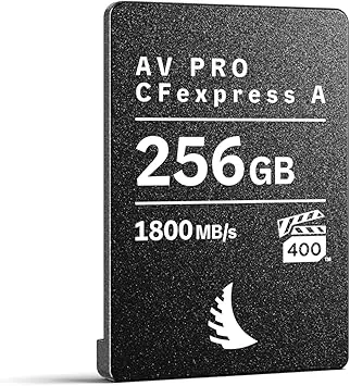 AV Pro CFexpress A 256 GB