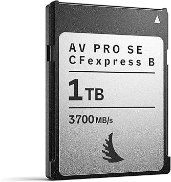 AV PRO SE CFexpress B v4 MK2