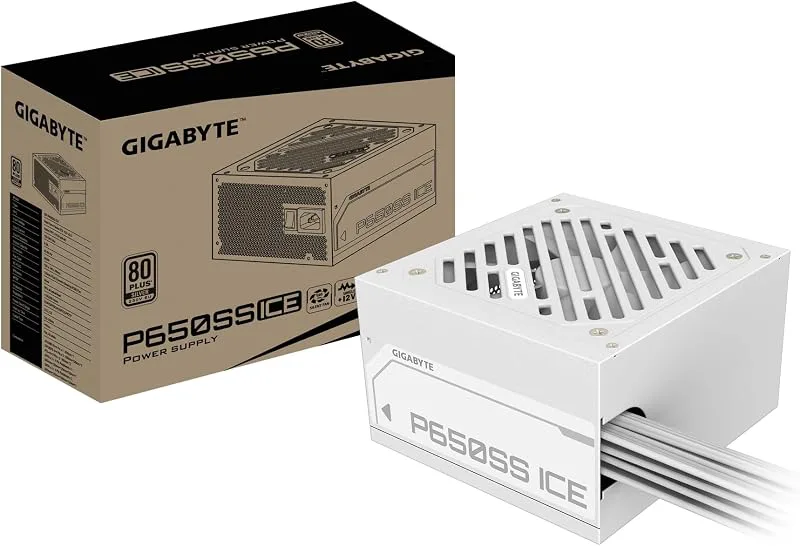 GIGABYTE P650SS Ice Power Power
