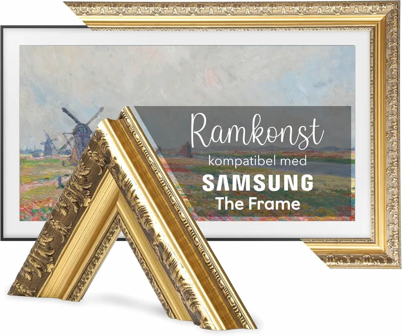 TV Guard Frame TV-ram