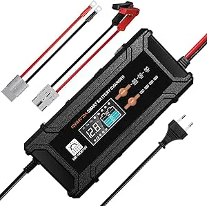 ECO-WORTHY 12V/24 V 20A LiFePO4 batteriladdare med multiströmsalternativ 5A/10A/15A/20A, automatisk batterispänning detektering bly-syra LiFePO4