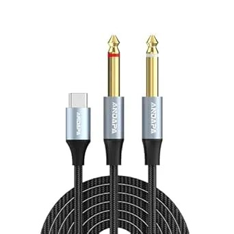 ANDAPA USB-C till Dual 6,35 mm kabel