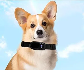 Pet Collar Camera