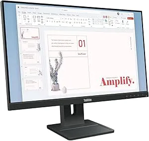 Lenovo ThinkVision E24-40