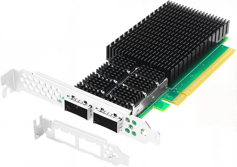 Dubbel port QSFP56 100GbE SmartNIC för Mellanox ConnectX-6 Dx Ethernet-adapter kort PCIe 4.0 x 16 Zero-Touch RoCE stöd W