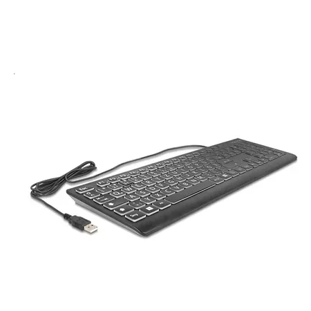 Delock tangentbord med kabel, QWERTZ, tysk layout
