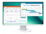 EIZO FlexScan EV2460