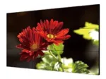 Hikvision DS-D2049LU-Y