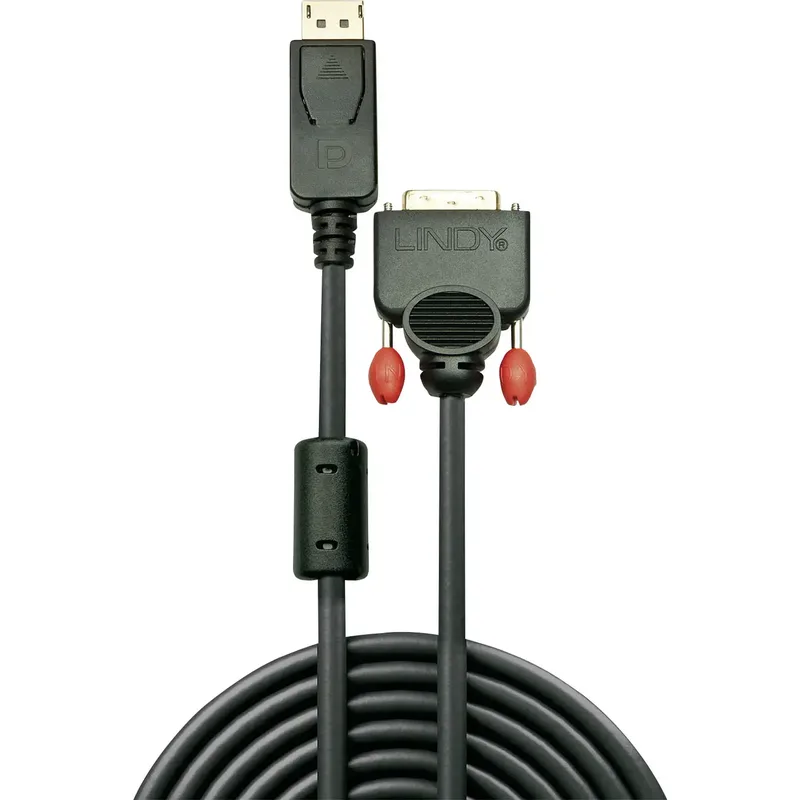 Lindy 41491 videokabel adapter 2 m DisplayPort DVI-D Sort