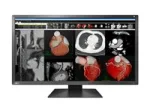 EIZO RadiForce MX317W
