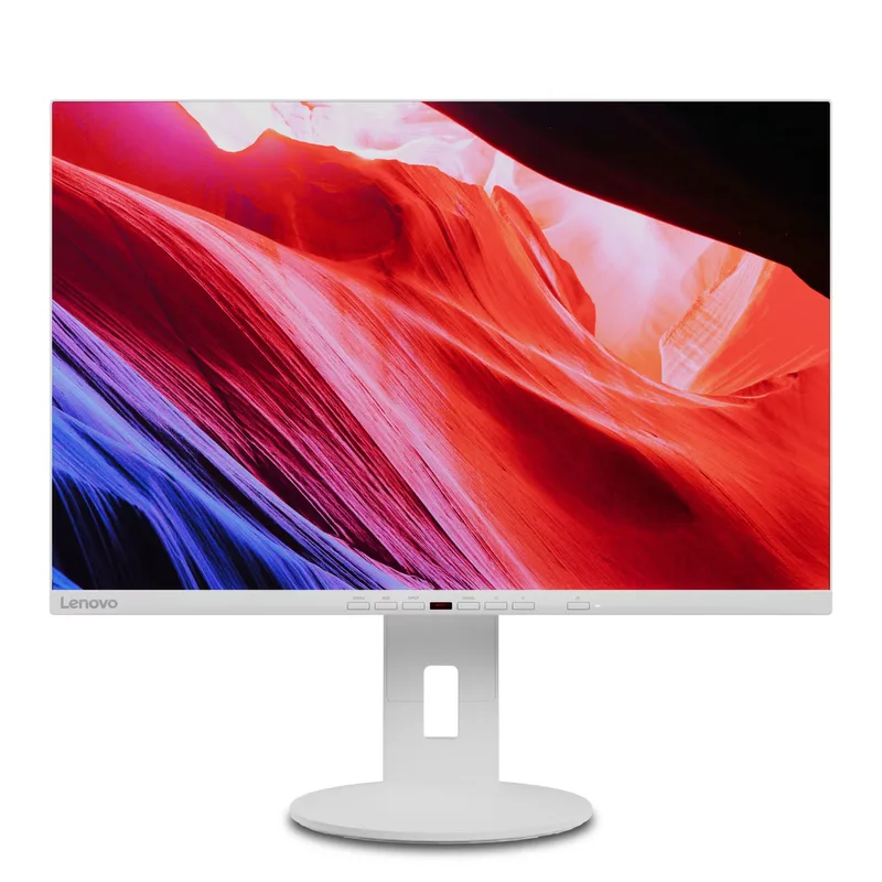 Lenovo C24d-20 24" skärm, 1920 x 1200, grå
