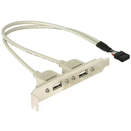 Delock USB-panel 10-stifts intern till USB-A, 0,3 m