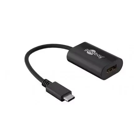 goobay Ekstern videoadapter