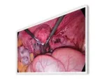 EIZO CuratOR EX4342-3D