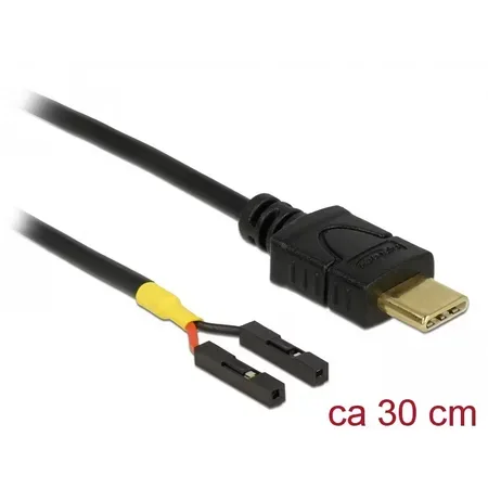 Delock - USB Type-C-kabel - 24-stifts USB-C till 2-stifts USB-samlestycke