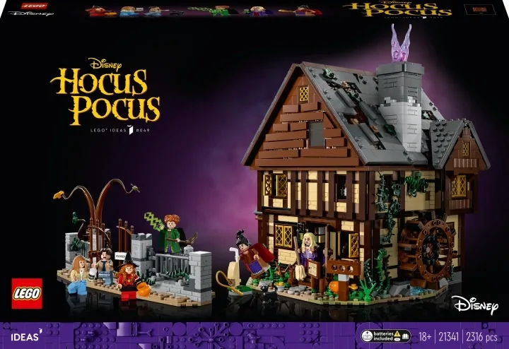 LEGO Ideas 21341