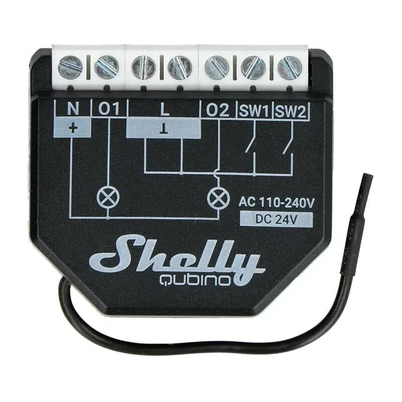 Shelly Qubino Wave 2PM