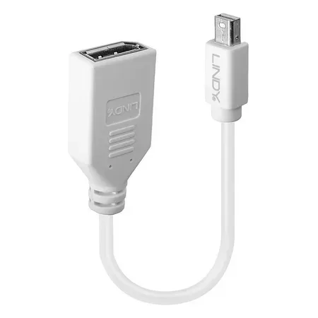 LINDY 41021 DisplayPort / Mini-DisplayPort Adapterkabel [1x DisplayPort hona