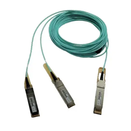 Cornelis Omni-Path Express 100FEVL0030