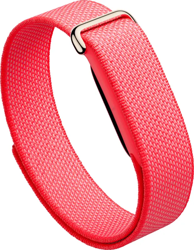 Google Fitbit Air (berry)